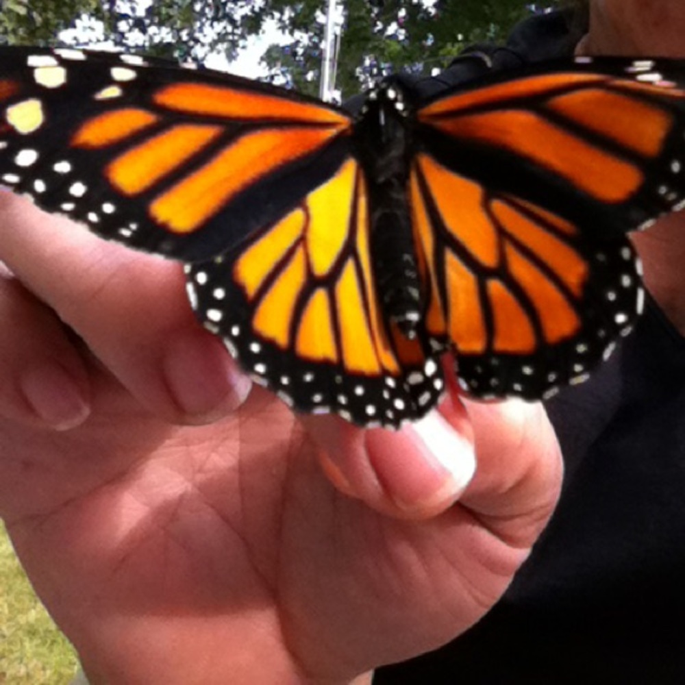 Meet your Posher, Francesca